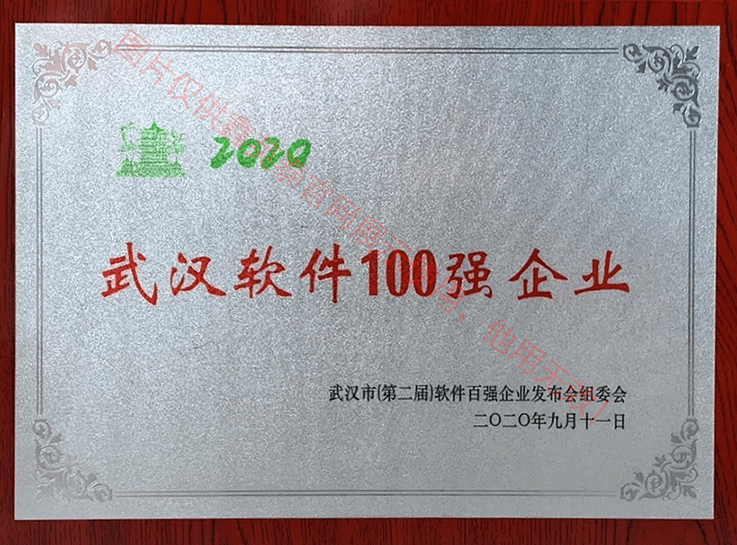 2020年武漢市軟件百強企業(yè)