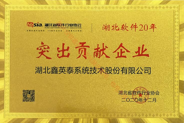 湖北軟件20年突出貢獻企業(yè)